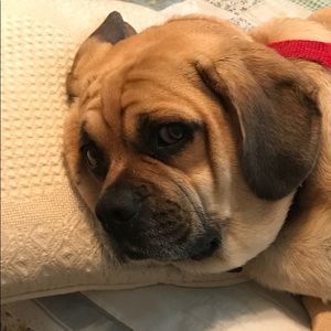 Meet your Posher, Lisa